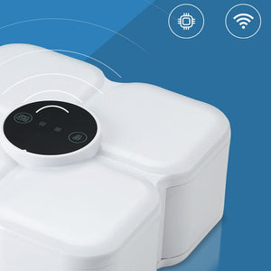 Smart Automatic Candy Box – 2.5L Divided Snack Storage Organizer